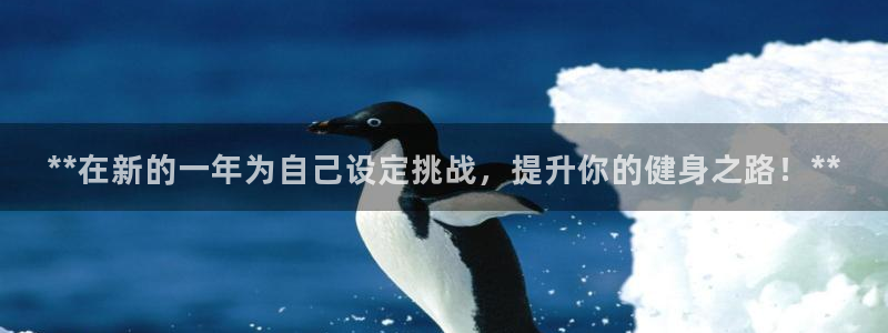 意昂2招商